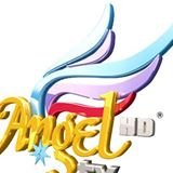 Angel TV news live