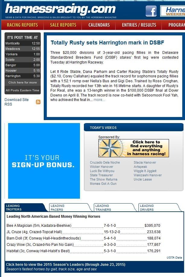 Horseman And Fair World