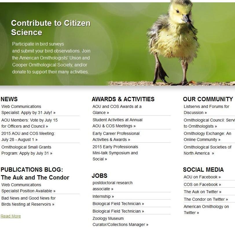 American Ornithology