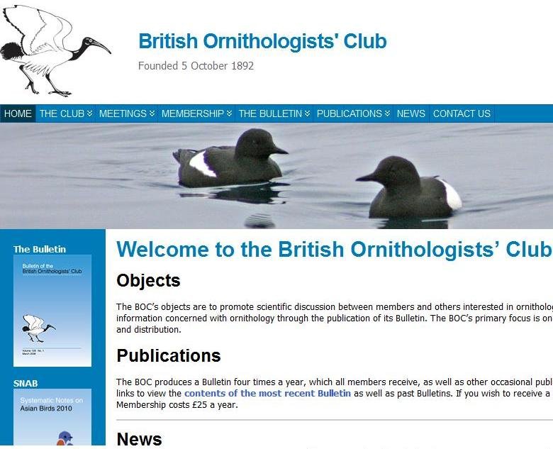 Bulletin Of The British Ornithologists Club