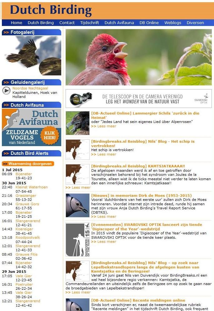 Dutch Birding
