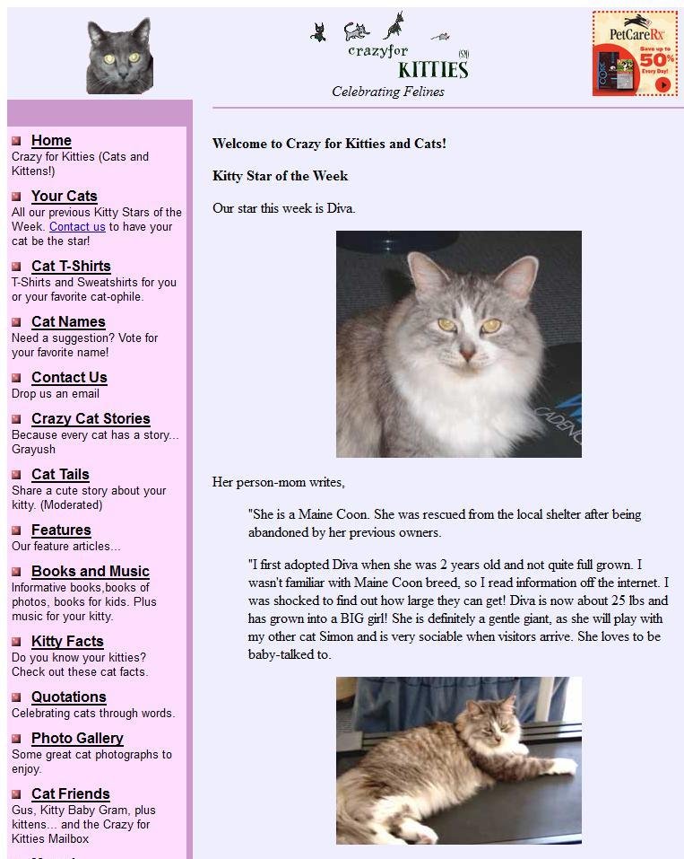 Crazy For Kitties