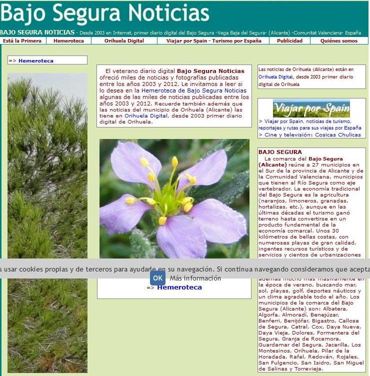 Bajo Segura Noticias