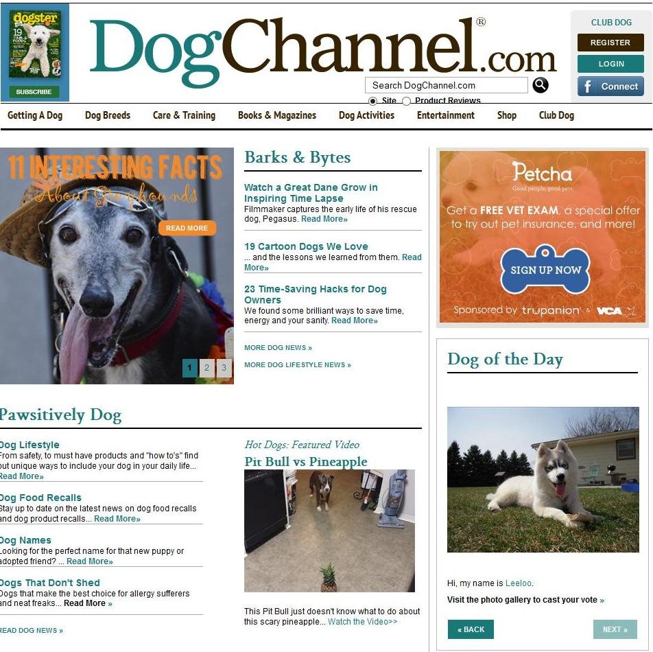 Dog Channel