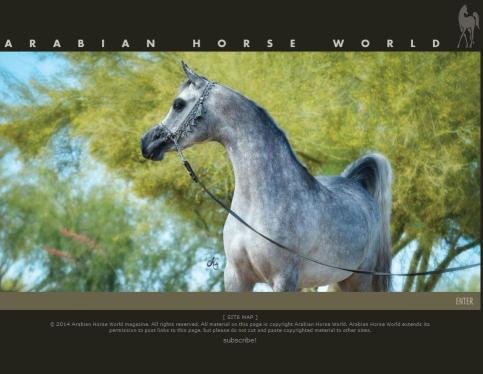 Arabian Horse World