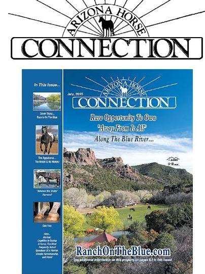 Arizona Horse Connection