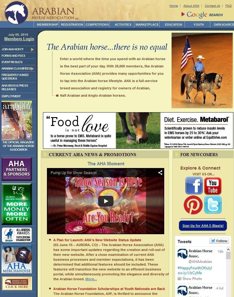 International Arabian Horse Magazine