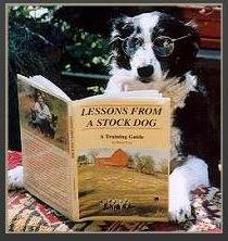 Working Border Collie Magazine