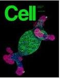 Cell