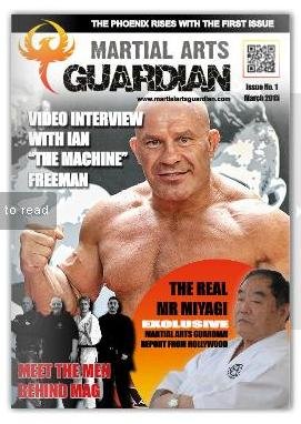 Martial Arts Guardian