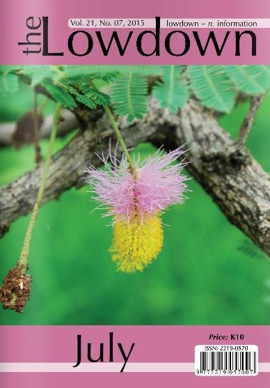 The Lowdown Magazine