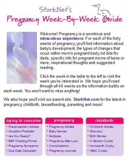 Pregnancy Guide Online