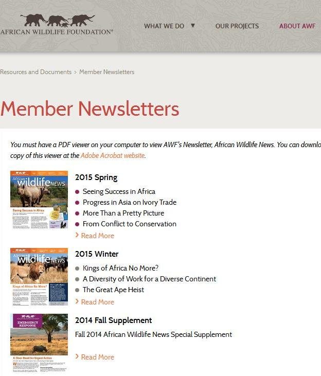 African Wildlife News