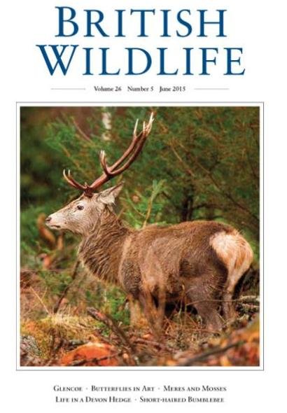 British Wildlife