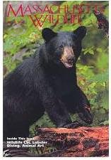 Massachusetts Wildlife