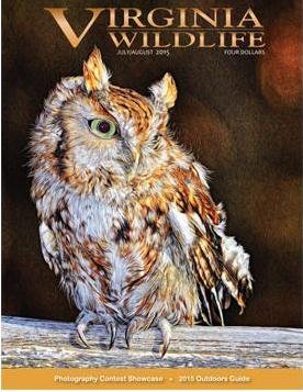 Virginia Wildlife Magazine