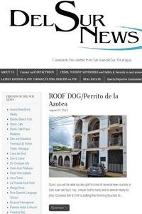 Del Sur News news live