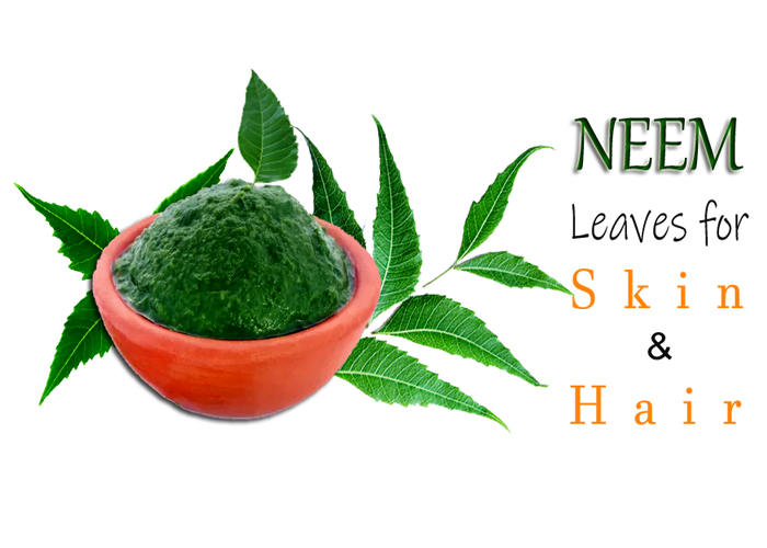 Benefits of Neem Leaves for Skin