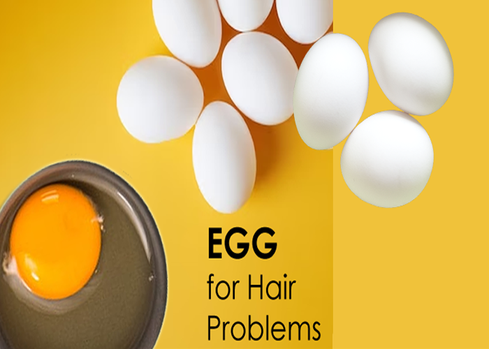 Does egg really help in hair growth?