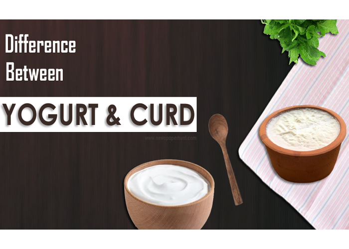 What Is The Difference Between Yogurt And Curd?