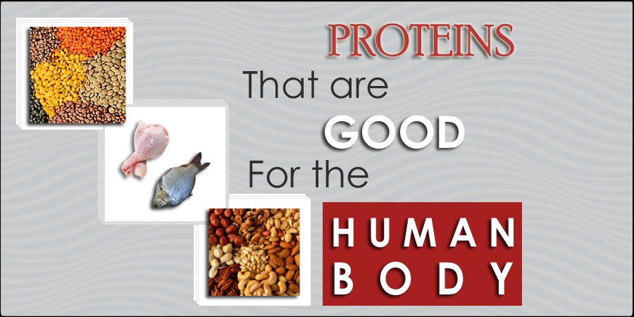 Which Proteins Are Friendly To Human Body