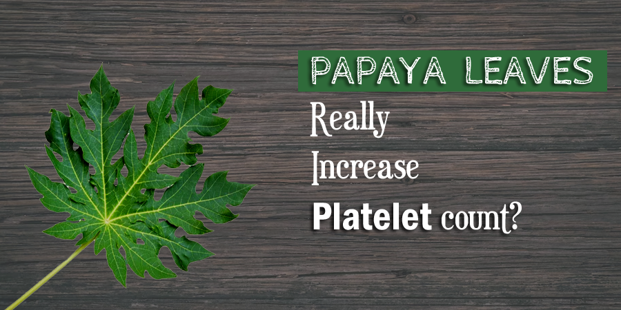 Why does papaya increase platelets?
