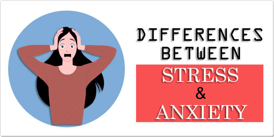 Everything You Need to Know About Stress and Anxiety